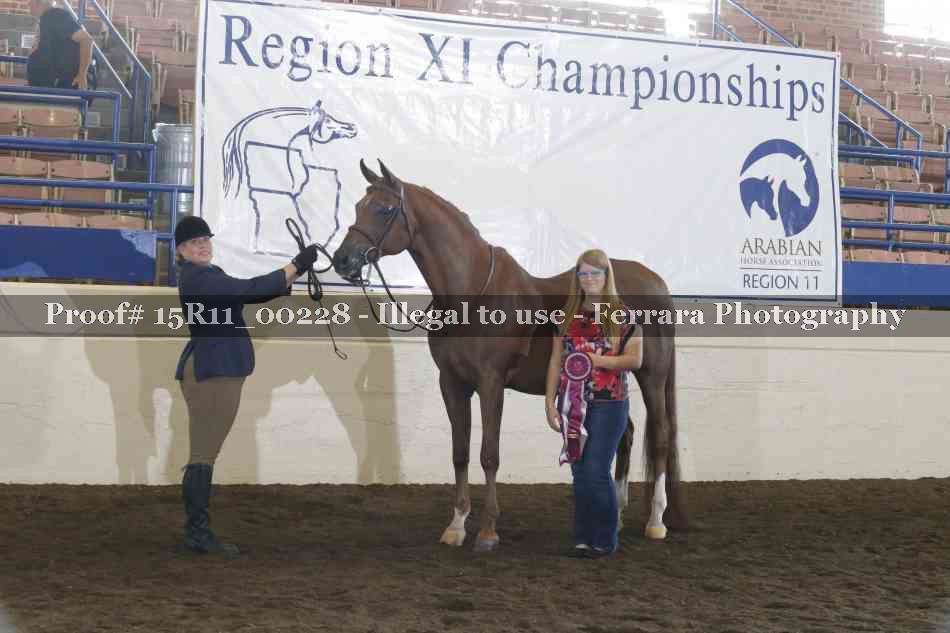 Proof 15R11_00228