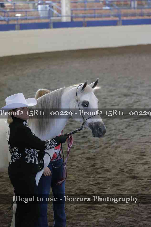 Proof 15R11_00229