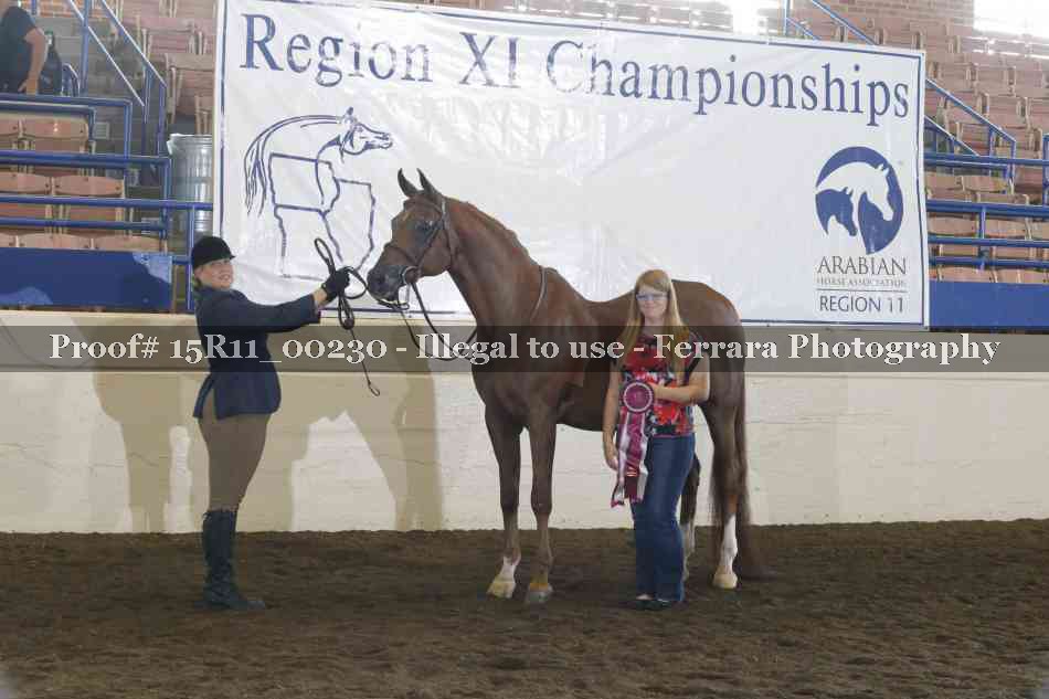 Proof 15R11_00230