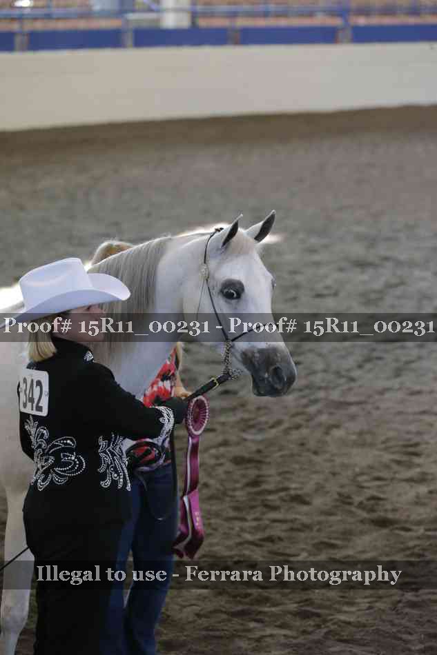 Proof 15R11_00231
