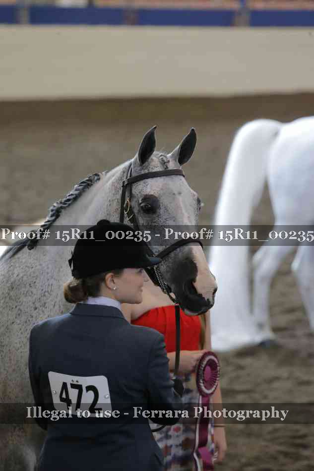Proof 15R11_00235