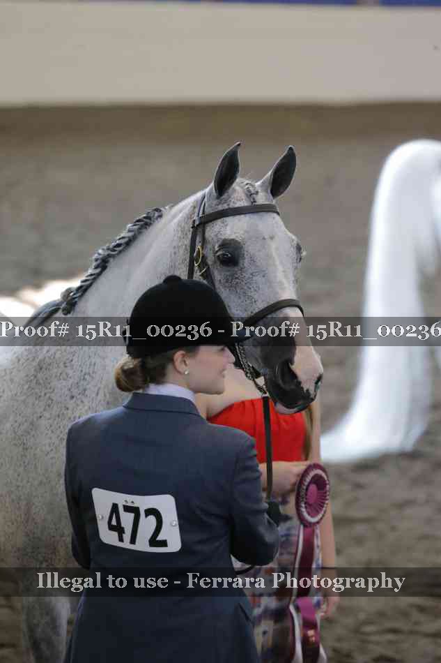 Proof 15R11_00236