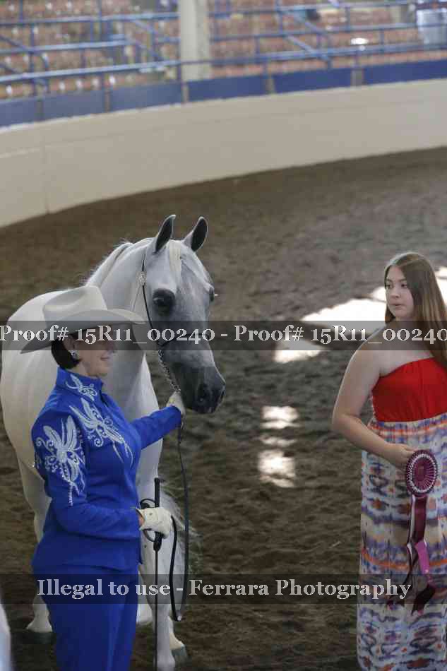 Proof 15R11_00240
