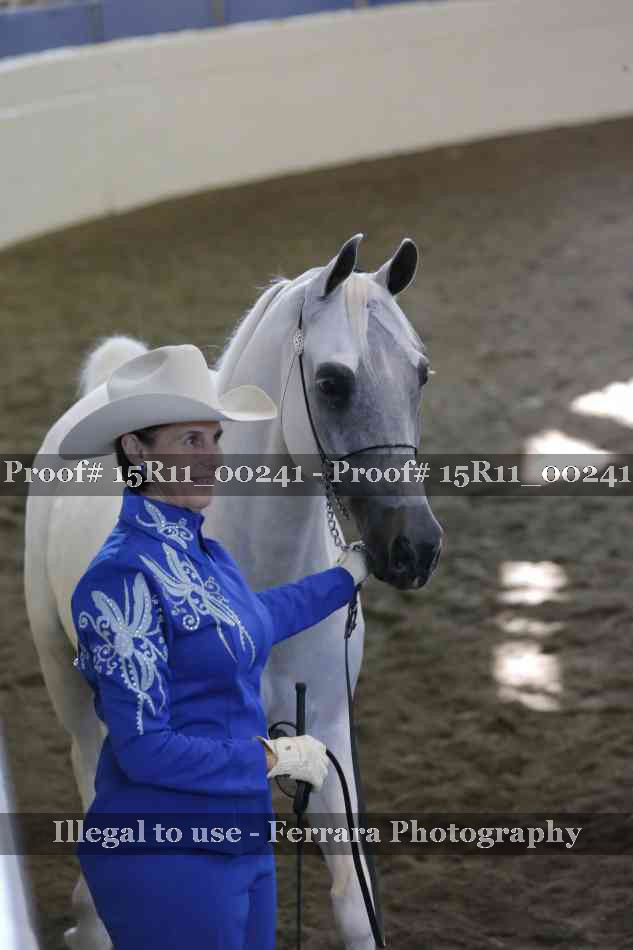 Proof 15R11_00241