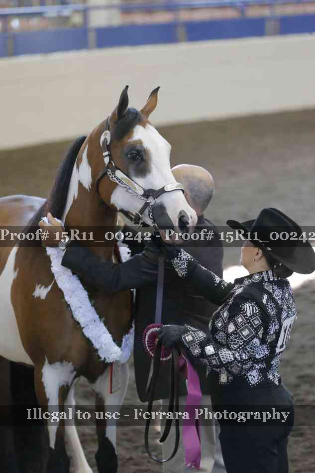 Proof 15R11_00242