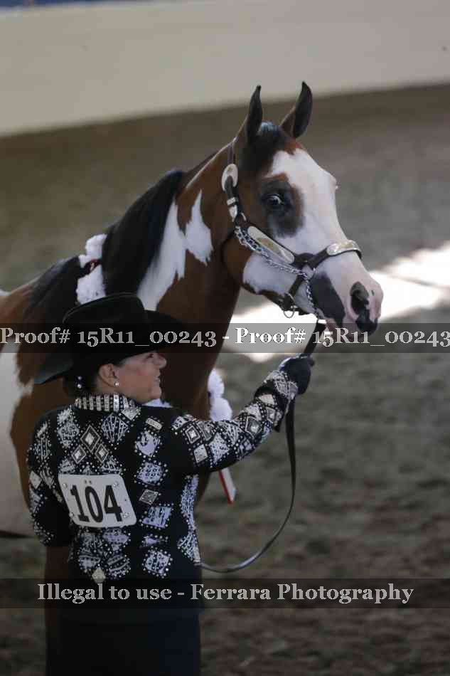 Proof 15R11_00243