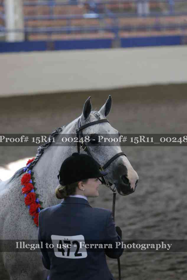 Proof 15R11_00248