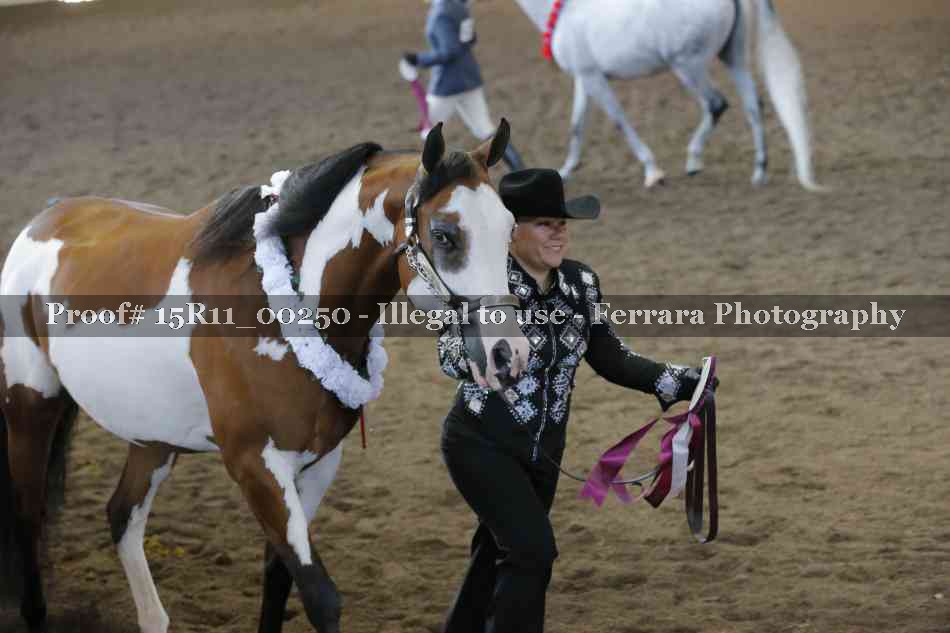 Proof 15R11_00250