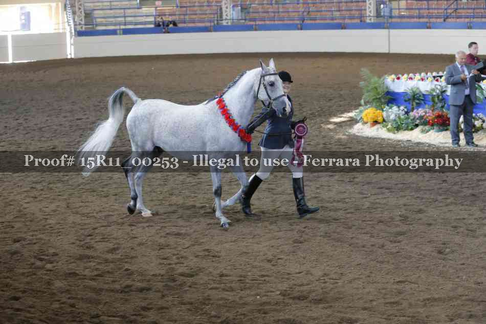 Proof 15R11_00253