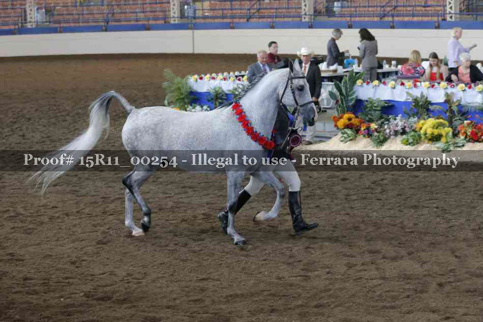Proof 15R11_00254