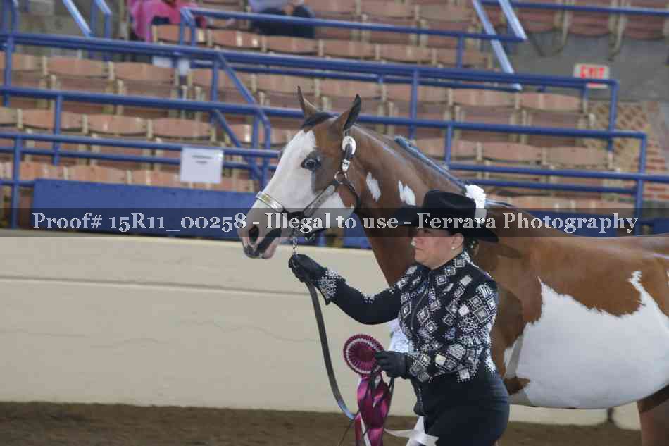 Proof 15R11_00258