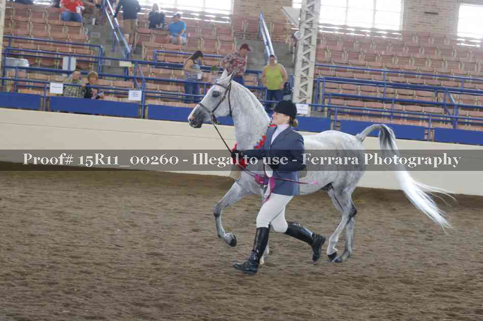 Proof 15R11_00260