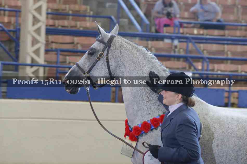 Proof 15R11_00261