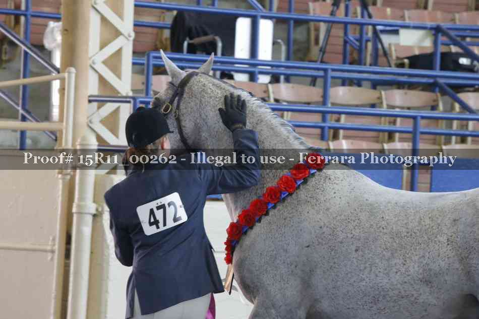 Proof 15R11_00262