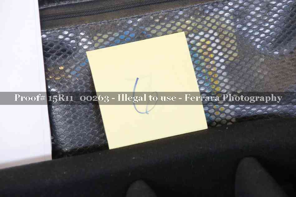 Proof 15R11_00263