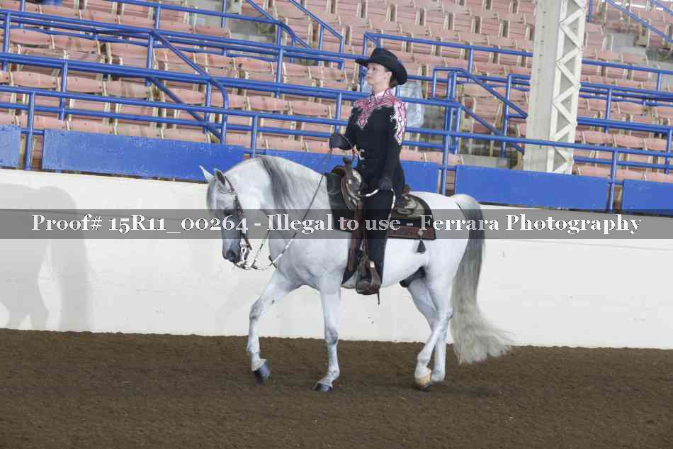 Proof 15R11_00264