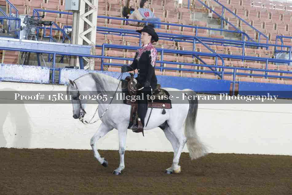 Proof 15R11_00265