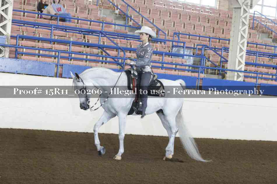 Proof 15R11_00266
