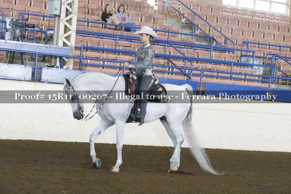 Proof 15R11_00267