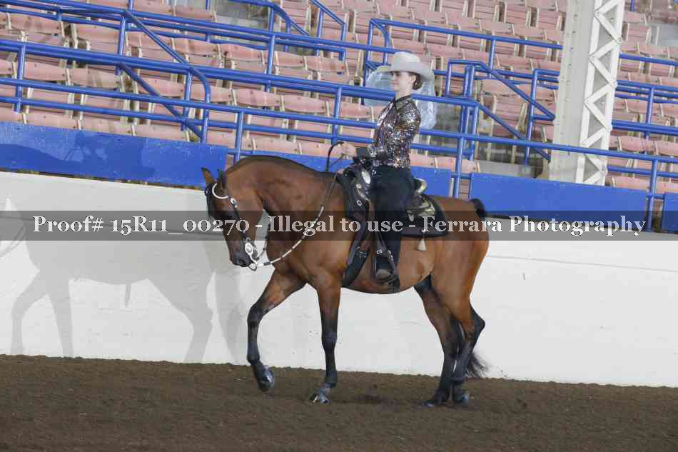 Proof 15R11_00270