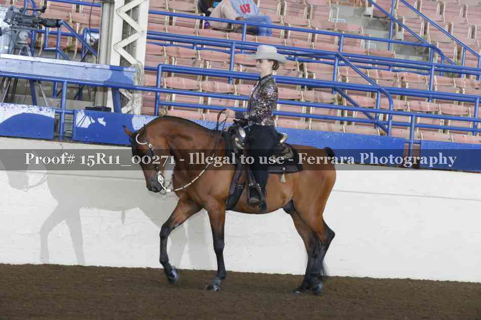 Proof 15R11_00271