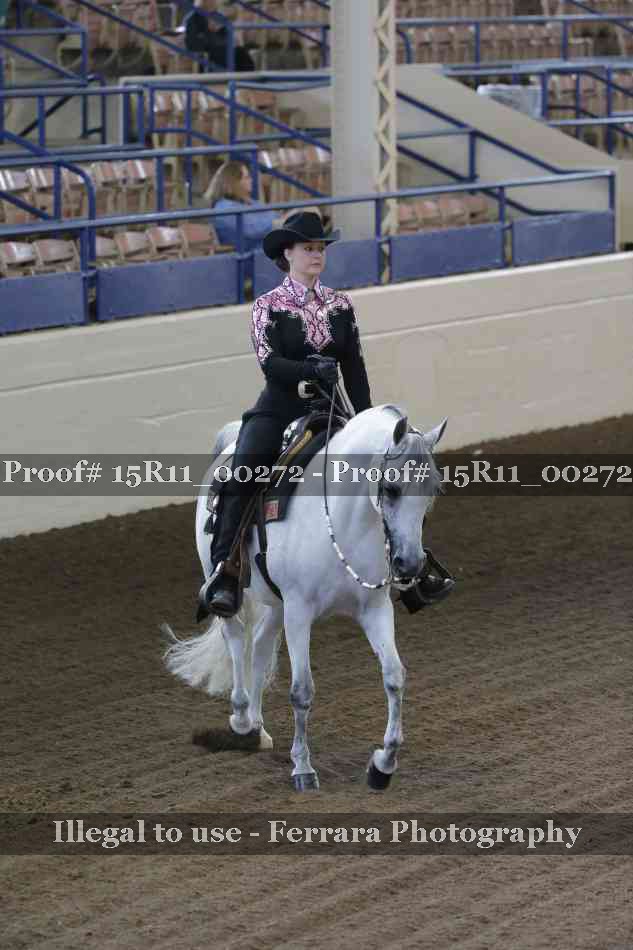 Proof 15R11_00272