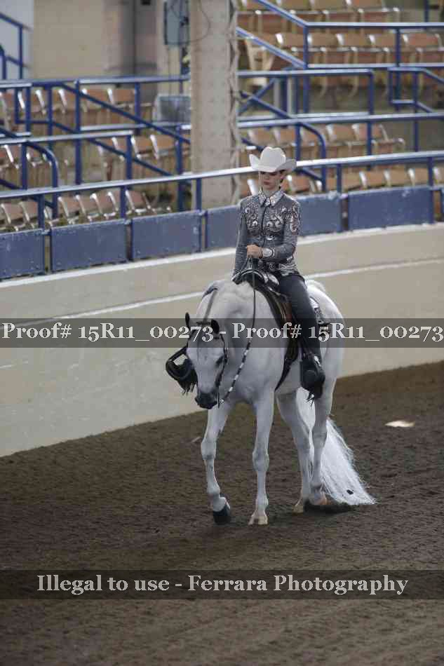 Proof 15R11_00273