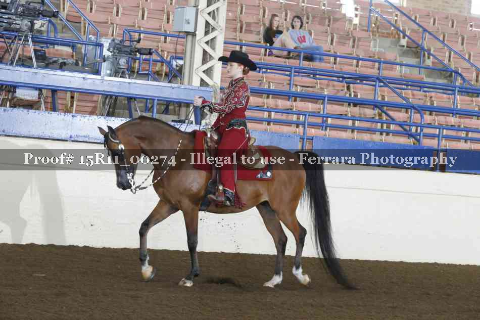 Proof 15R11_00274