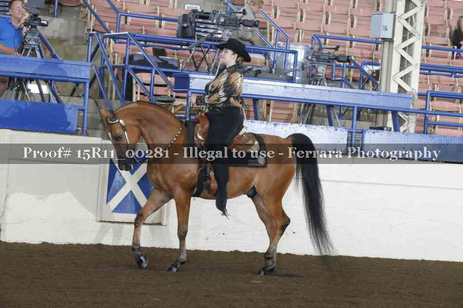 Proof 15R11_00281