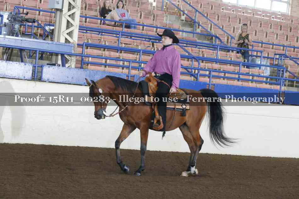 Proof 15R11_00283