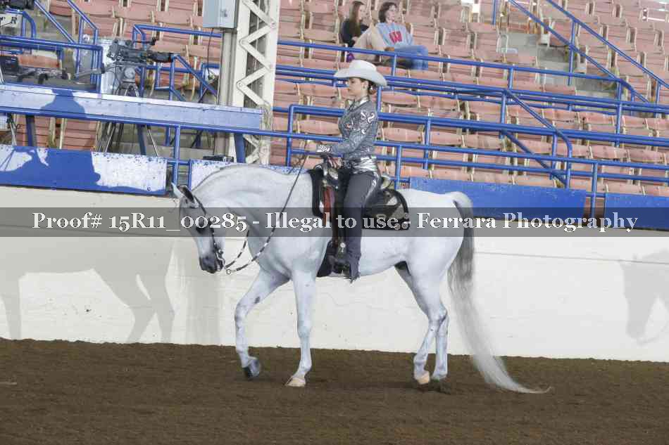 Proof 15R11_00285