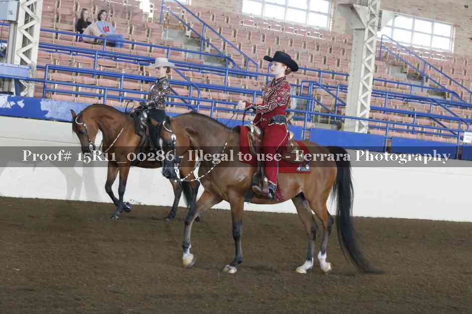 Proof 15R11_00286
