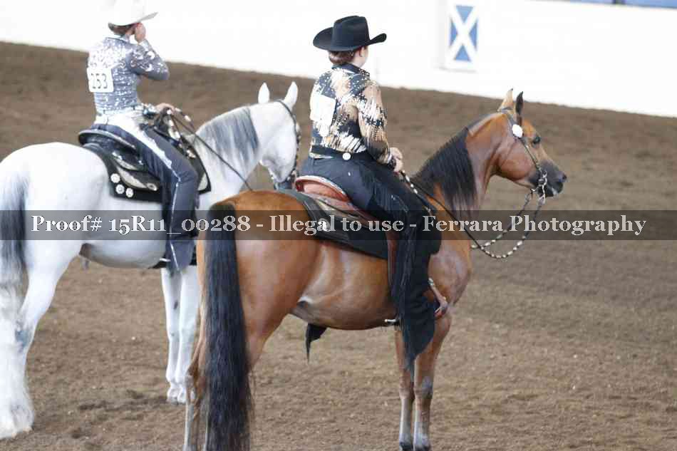 Proof 15R11_00288