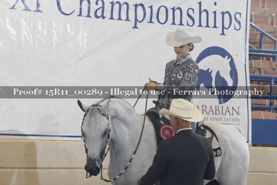 Proof 15R11_00289