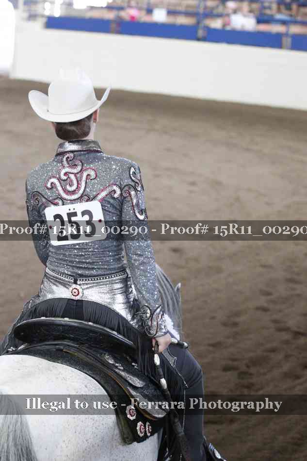 Proof 15R11_00290