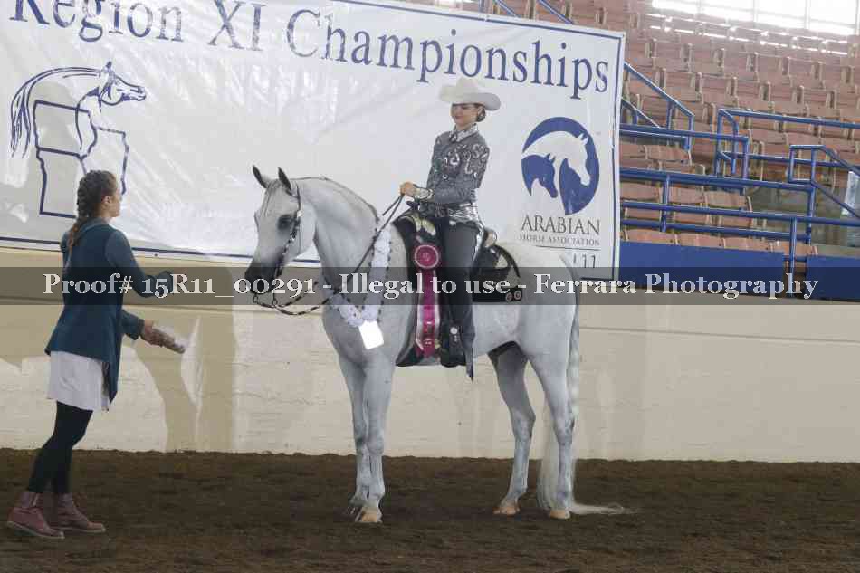 Proof 15R11_00291