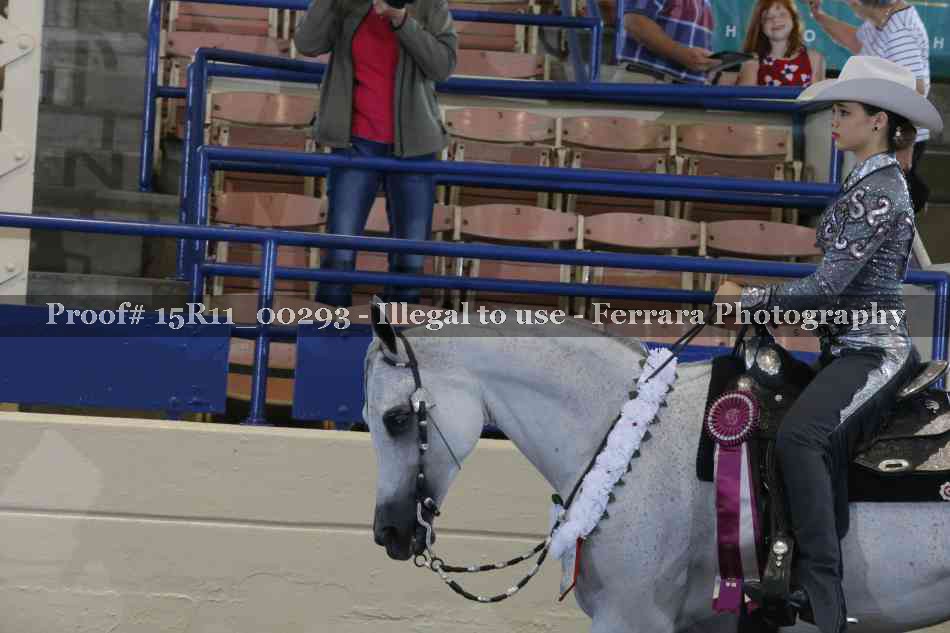 Proof 15R11_00293