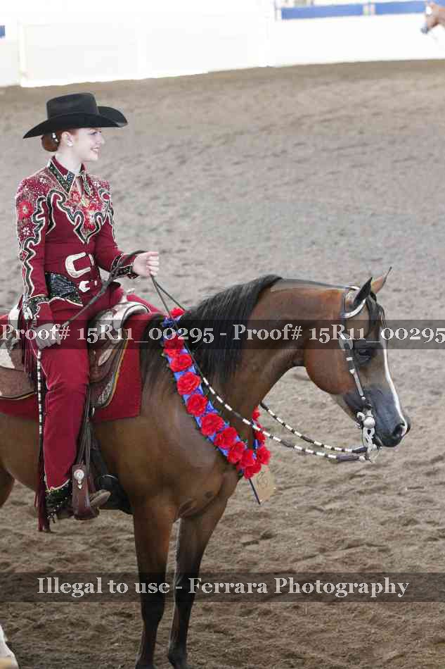 Proof 15R11_00295