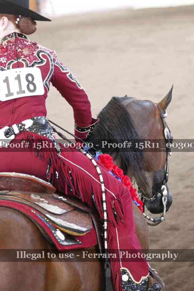 Proof 15R11_00300