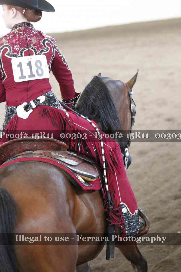 Proof 15R11_00303