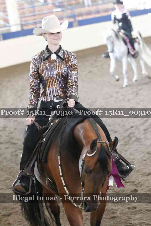 Proof 15R11_00310