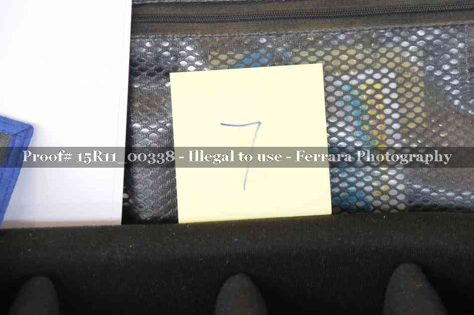 Proof 15R11_00338
