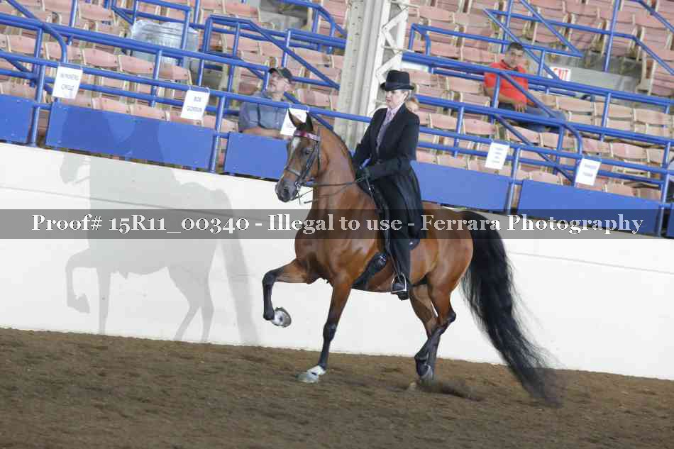 Proof 15R11_00340