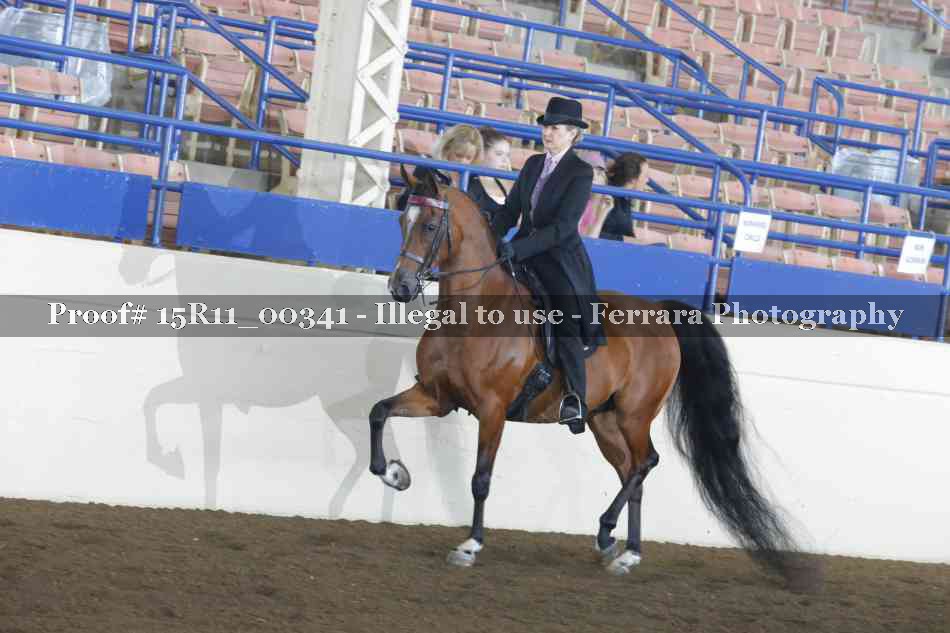 Proof 15R11_00341