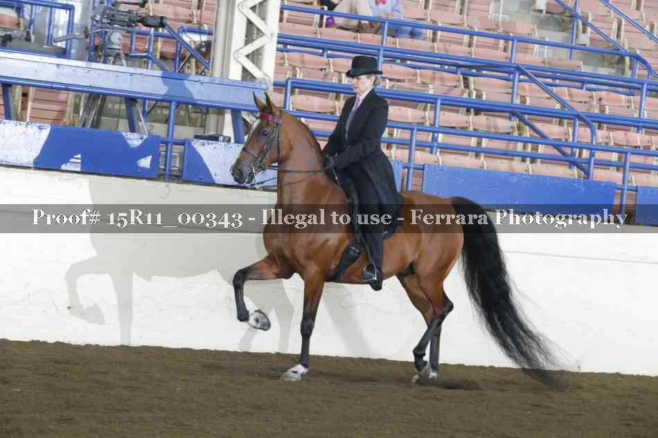 Proof 15R11_00343