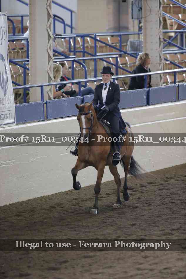 Proof 15R11_00344
