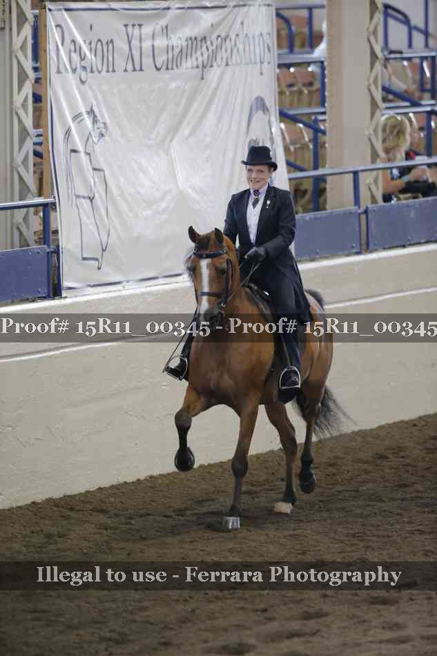 Proof 15R11_00345
