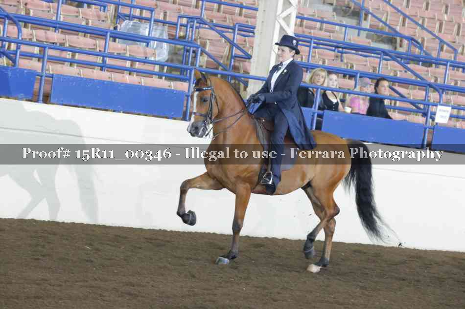 Proof 15R11_00346