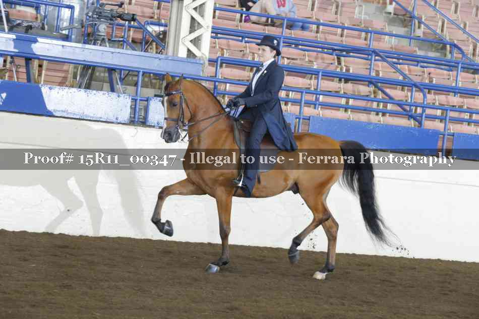 Proof 15R11_00347
