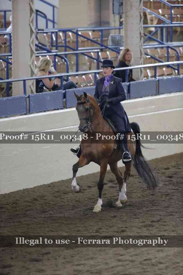 Proof 15R11_00348